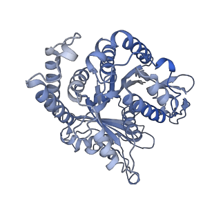 40220_8glv_I8_v1-2
96-nm repeat unit of doublet microtubules from Chlamydomonas reinhardtii flagella