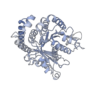 40220_8glv_I9_v1-2
96-nm repeat unit of doublet microtubules from Chlamydomonas reinhardtii flagella