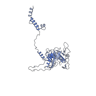 40220_8glv_IA_v1-2
96-nm repeat unit of doublet microtubules from Chlamydomonas reinhardtii flagella