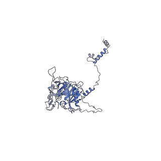 40220_8glv_IB_v1-2
96-nm repeat unit of doublet microtubules from Chlamydomonas reinhardtii flagella