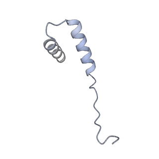 40220_8glv_IC_v1-2
96-nm repeat unit of doublet microtubules from Chlamydomonas reinhardtii flagella