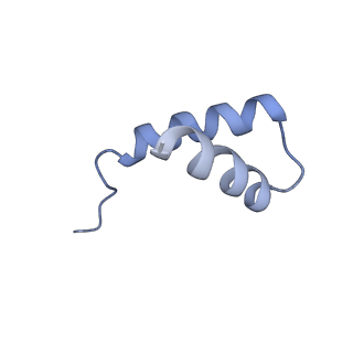 40220_8glv_IE_v1-2
96-nm repeat unit of doublet microtubules from Chlamydomonas reinhardtii flagella