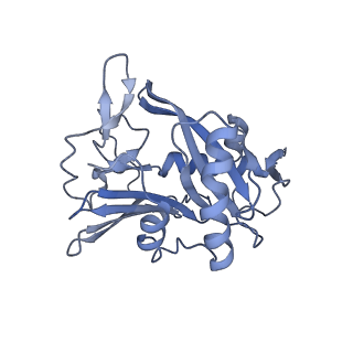 40220_8glv_IF_v1-2
96-nm repeat unit of doublet microtubules from Chlamydomonas reinhardtii flagella