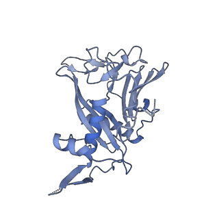 40220_8glv_II_v1-2
96-nm repeat unit of doublet microtubules from Chlamydomonas reinhardtii flagella