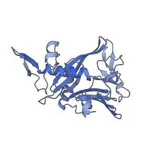 40220_8glv_IJ_v1-2
96-nm repeat unit of doublet microtubules from Chlamydomonas reinhardtii flagella