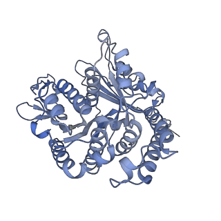 40220_8glv_IK_v1-2
96-nm repeat unit of doublet microtubules from Chlamydomonas reinhardtii flagella