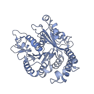 40220_8glv_IL_v1-2
96-nm repeat unit of doublet microtubules from Chlamydomonas reinhardtii flagella