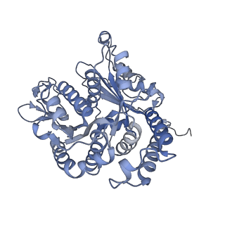 40220_8glv_IM_v1-2
96-nm repeat unit of doublet microtubules from Chlamydomonas reinhardtii flagella