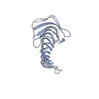 40220_8glv_IO_v1-2
96-nm repeat unit of doublet microtubules from Chlamydomonas reinhardtii flagella