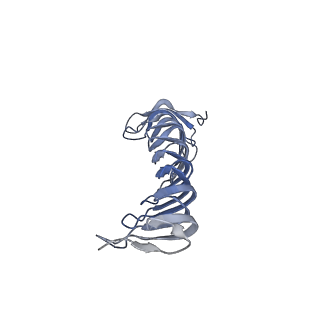 40220_8glv_IP_v1-2
96-nm repeat unit of doublet microtubules from Chlamydomonas reinhardtii flagella