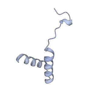 40220_8glv_IQ_v1-2
96-nm repeat unit of doublet microtubules from Chlamydomonas reinhardtii flagella