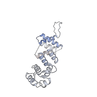 40220_8glv_IR_v1-2
96-nm repeat unit of doublet microtubules from Chlamydomonas reinhardtii flagella