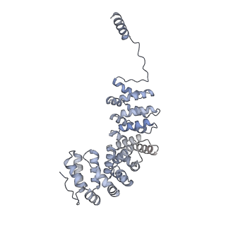 40220_8glv_IT_v1-2
96-nm repeat unit of doublet microtubules from Chlamydomonas reinhardtii flagella