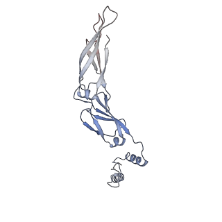 40220_8glv_IU_v1-2
96-nm repeat unit of doublet microtubules from Chlamydomonas reinhardtii flagella