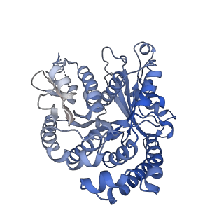 40220_8glv_IV_v1-2
96-nm repeat unit of doublet microtubules from Chlamydomonas reinhardtii flagella