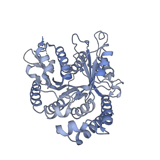 40220_8glv_IX_v1-2
96-nm repeat unit of doublet microtubules from Chlamydomonas reinhardtii flagella