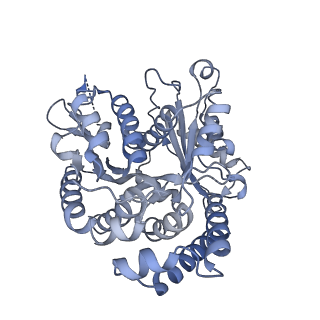 40220_8glv_IZ_v1-2
96-nm repeat unit of doublet microtubules from Chlamydomonas reinhardtii flagella