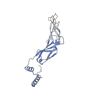 40220_8glv_Ia_v1-2
96-nm repeat unit of doublet microtubules from Chlamydomonas reinhardtii flagella