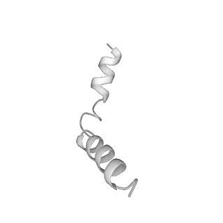 40220_8glv_Ib_v1-2
96-nm repeat unit of doublet microtubules from Chlamydomonas reinhardtii flagella