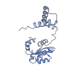40220_8glv_Id_v1-2
96-nm repeat unit of doublet microtubules from Chlamydomonas reinhardtii flagella