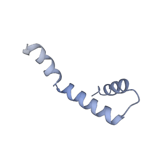 40220_8glv_If_v1-2
96-nm repeat unit of doublet microtubules from Chlamydomonas reinhardtii flagella