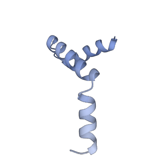 40220_8glv_Ig_v1-2
96-nm repeat unit of doublet microtubules from Chlamydomonas reinhardtii flagella