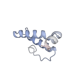 40220_8glv_Ih_v1-2
96-nm repeat unit of doublet microtubules from Chlamydomonas reinhardtii flagella