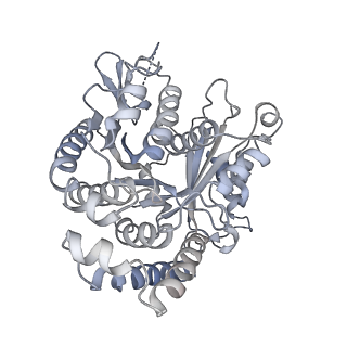 40220_8glv_Ii_v1-2
96-nm repeat unit of doublet microtubules from Chlamydomonas reinhardtii flagella