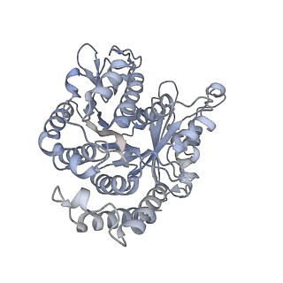 40220_8glv_Ij_v1-2
96-nm repeat unit of doublet microtubules from Chlamydomonas reinhardtii flagella