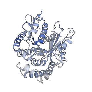 40220_8glv_Ik_v1-2
96-nm repeat unit of doublet microtubules from Chlamydomonas reinhardtii flagella