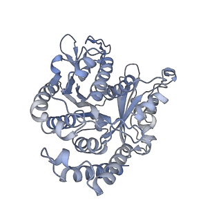 40220_8glv_Il_v1-2
96-nm repeat unit of doublet microtubules from Chlamydomonas reinhardtii flagella