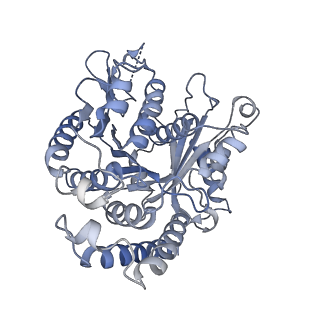40220_8glv_Im_v1-2
96-nm repeat unit of doublet microtubules from Chlamydomonas reinhardtii flagella