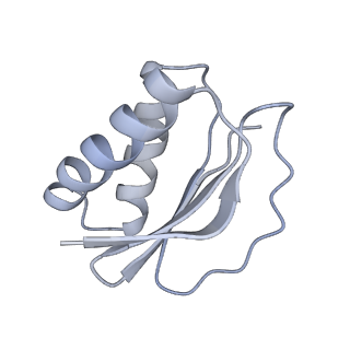 40220_8glv_Io_v1-2
96-nm repeat unit of doublet microtubules from Chlamydomonas reinhardtii flagella