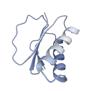 40220_8glv_Ip_v1-2
96-nm repeat unit of doublet microtubules from Chlamydomonas reinhardtii flagella
