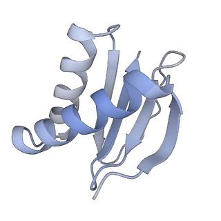 40220_8glv_Iq_v1-2
96-nm repeat unit of doublet microtubules from Chlamydomonas reinhardtii flagella