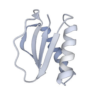 40220_8glv_Ir_v1-2
96-nm repeat unit of doublet microtubules from Chlamydomonas reinhardtii flagella