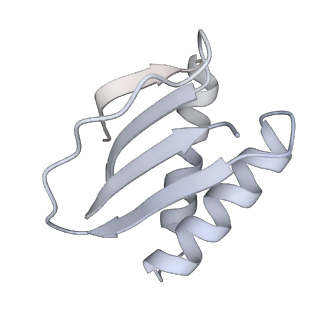 40220_8glv_It_v1-2
96-nm repeat unit of doublet microtubules from Chlamydomonas reinhardtii flagella