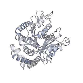 40220_8glv_Iv_v1-2
96-nm repeat unit of doublet microtubules from Chlamydomonas reinhardtii flagella