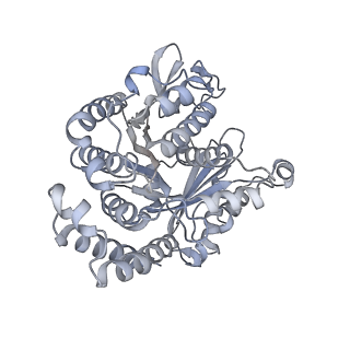 40220_8glv_Iw_v1-2
96-nm repeat unit of doublet microtubules from Chlamydomonas reinhardtii flagella