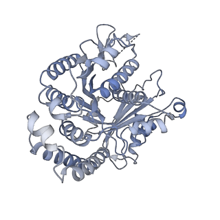 40220_8glv_Ix_v1-2
96-nm repeat unit of doublet microtubules from Chlamydomonas reinhardtii flagella