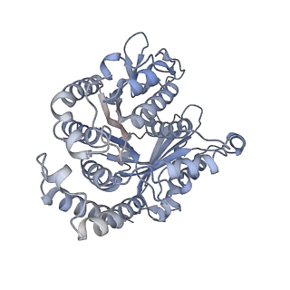 40220_8glv_Iy_v1-2
96-nm repeat unit of doublet microtubules from Chlamydomonas reinhardtii flagella