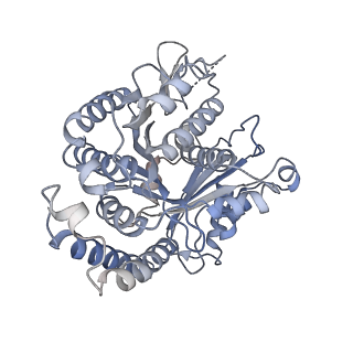 40220_8glv_Iz_v1-2
96-nm repeat unit of doublet microtubules from Chlamydomonas reinhardtii flagella