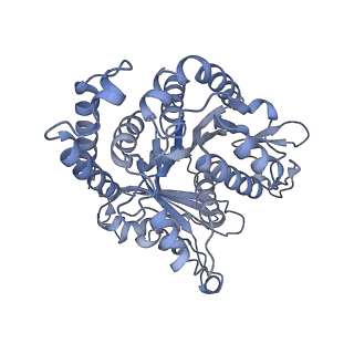 40220_8glv_J0_v1-2
96-nm repeat unit of doublet microtubules from Chlamydomonas reinhardtii flagella