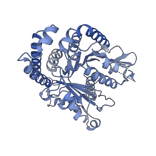 40220_8glv_J1_v1-2
96-nm repeat unit of doublet microtubules from Chlamydomonas reinhardtii flagella
