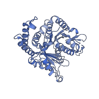 40220_8glv_J2_v1-2
96-nm repeat unit of doublet microtubules from Chlamydomonas reinhardtii flagella