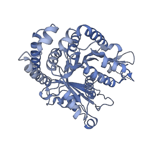 40220_8glv_J3_v1-2
96-nm repeat unit of doublet microtubules from Chlamydomonas reinhardtii flagella