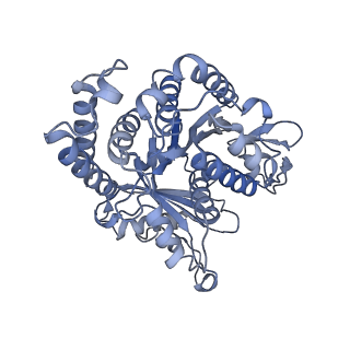 40220_8glv_J4_v1-2
96-nm repeat unit of doublet microtubules from Chlamydomonas reinhardtii flagella