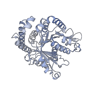 40220_8glv_J5_v1-2
96-nm repeat unit of doublet microtubules from Chlamydomonas reinhardtii flagella