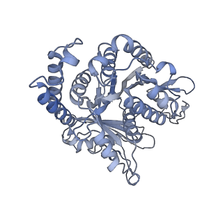 40220_8glv_J6_v1-2
96-nm repeat unit of doublet microtubules from Chlamydomonas reinhardtii flagella