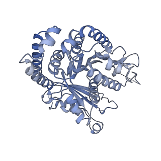 40220_8glv_J7_v1-2
96-nm repeat unit of doublet microtubules from Chlamydomonas reinhardtii flagella